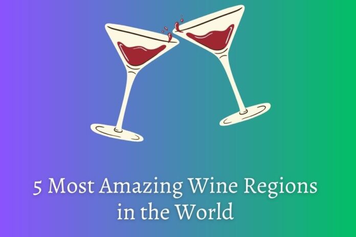 5 Most Amazing Wine Regions in the World