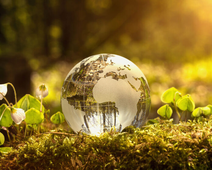 Essential Environmental Goals for Businesses
