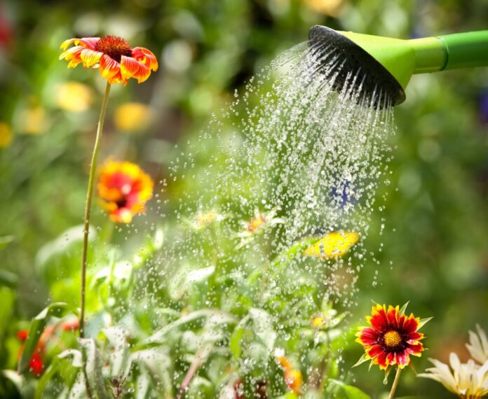 Garden Watering and Cleaning Tricks